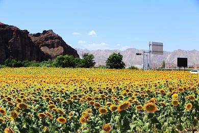 全国网吧怀旧节第二站!KK承包网费，助您重燃热血！